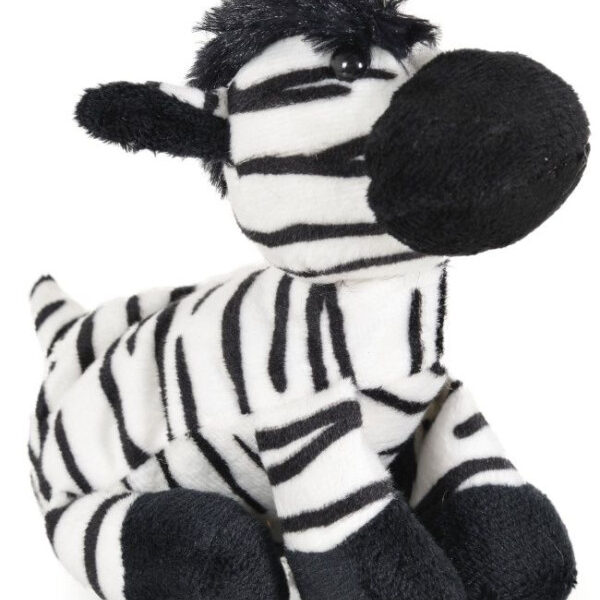 Naslovna strana | KETI